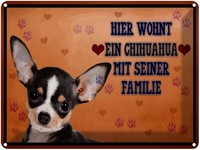 Blechschild 30X40 Cm Hund Hier Wohnt Ein Chihuahua Deko Geschenk Metall Schild