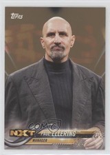 2018 Topps WWE Bronze Paul Ellering #72 9aj