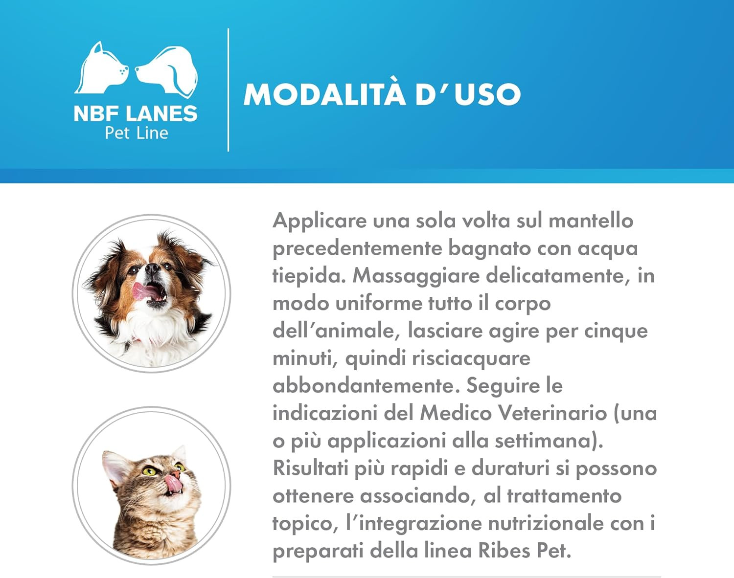 Ribes Pet Ultra Shampoo Balsamo: Il Potere del Ribes Nero per il Pet - 4