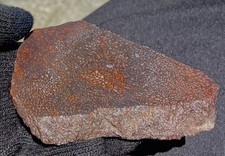 dinosaur-bone-fossil-very-thick-slab-rare-multi-color-cells-148-grams-52-oz