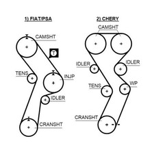 Courroie de distribution Citroen C25