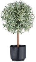 artplants Kunst Rosmarin HochstäMmchen Windar, Gefroren, GrüN-Weiß, 26Cm
