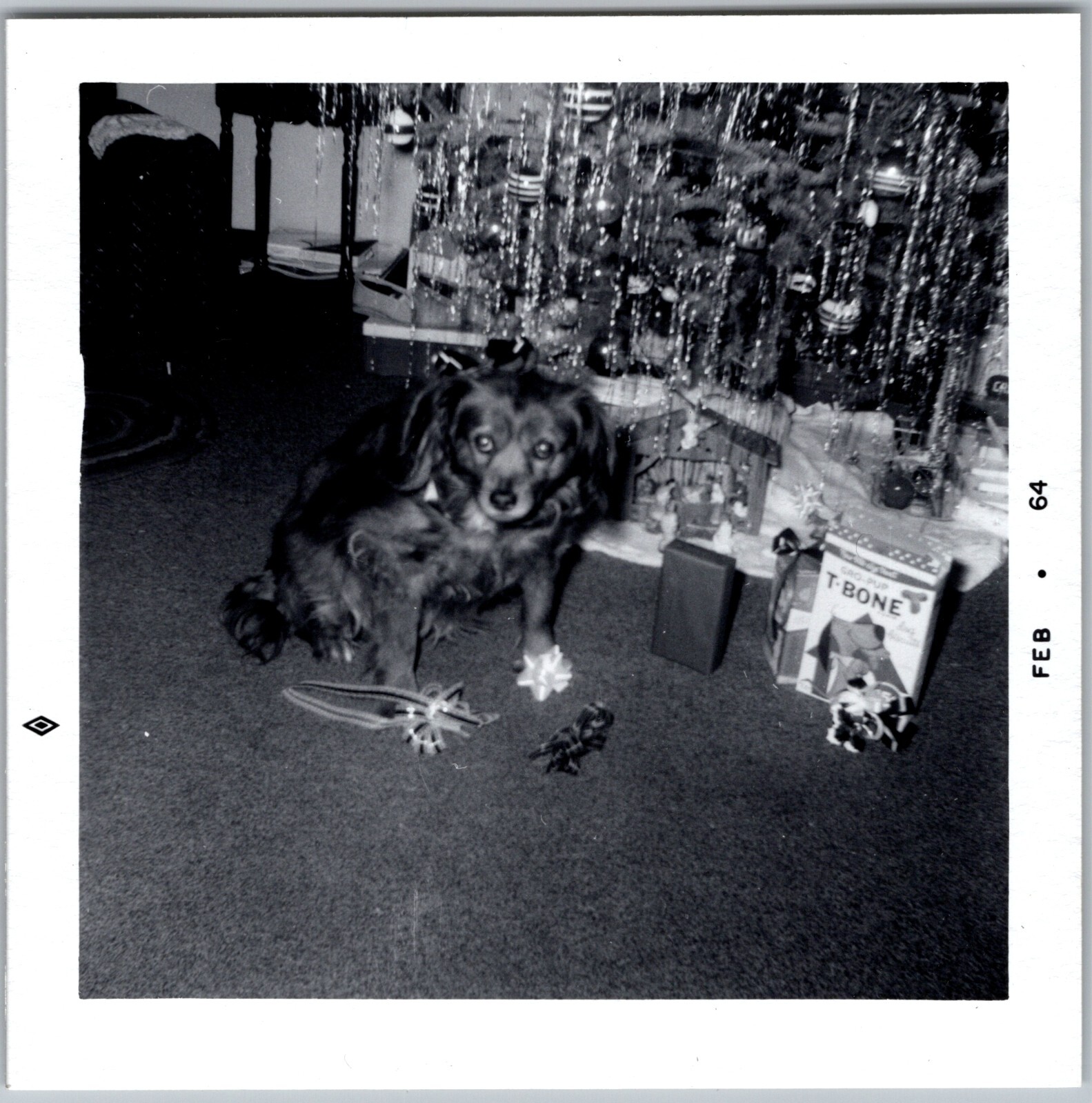 LARGE LOT OF 32 VINTAGE B&W SNAPSHOTS PEOPLE WITH THEIR DOGS PETS — additional view
