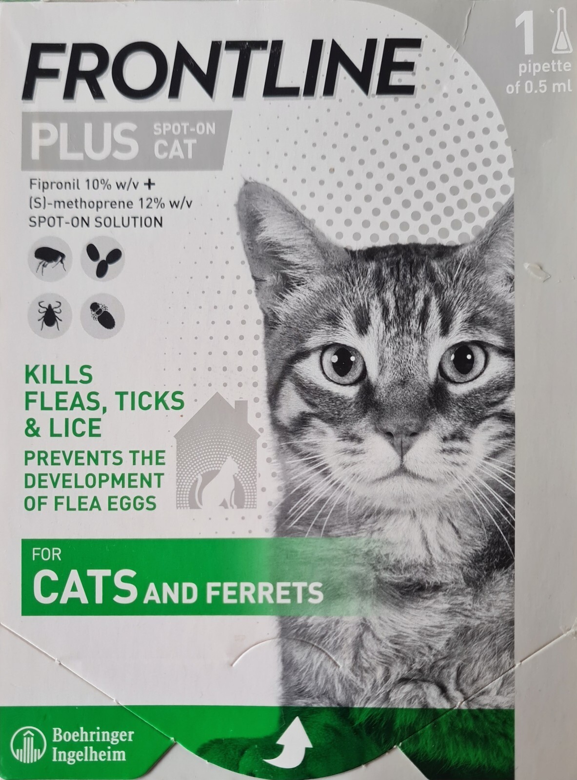 Frontline Spot On PLUS Cat Flea Tick Lice Treatment 1 Pipette Pack eBay