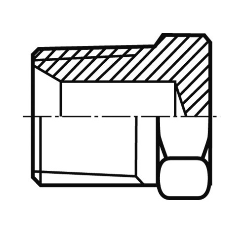 Verschlussschraube Mit NPT-Gewinde – V4A, Kappe, Stopfen, Bis 345 Bar – Made In Germany