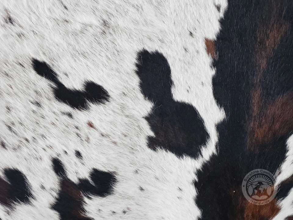Tricolor Genuine Hair on Cowhide - Size 6 x 7-8' - Image 2 of 4