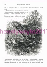 Forest Path at Franchard, France, Book Illustration (Print), c1875