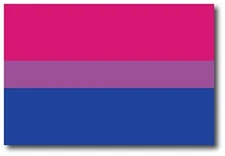 Magnet Me Up Bisexual Pride Flag Car Magnet Decal, 4x6 Inches, Pink Blue and Pur