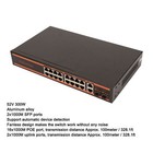 Foto 11 di 12