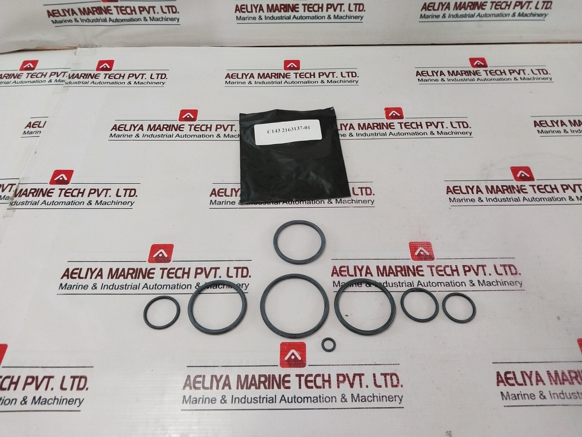 CAMERON 2163135-01 Bonnets Seal Repair Kit C143-644356-02 Rev 02