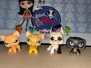 figurine PETSHOP original chat européen 1643 pet shop LPS