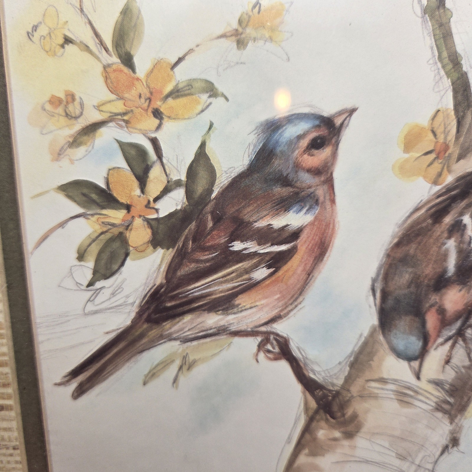Paul Whitney Hunter - Nature 3 Birds Art Print Wood Frame Pencil Signed 13 X 16
