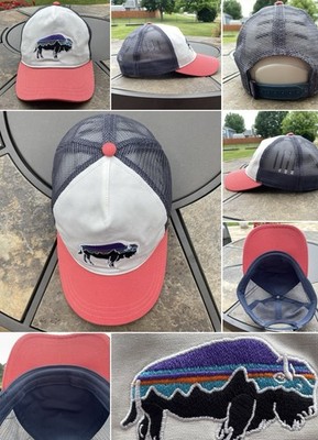Patagonia Hat Cap Snap Back Mens One Size Multicolor Fitz Roy Bison Trucker Logo