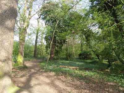 Photo A3 Path in Ainslie Wood Chingford Ainslie Wood was once known as E c2017