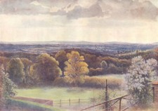 EWHURST. View from Coneyhurst Hill. Surrey 1914 old antique print picture