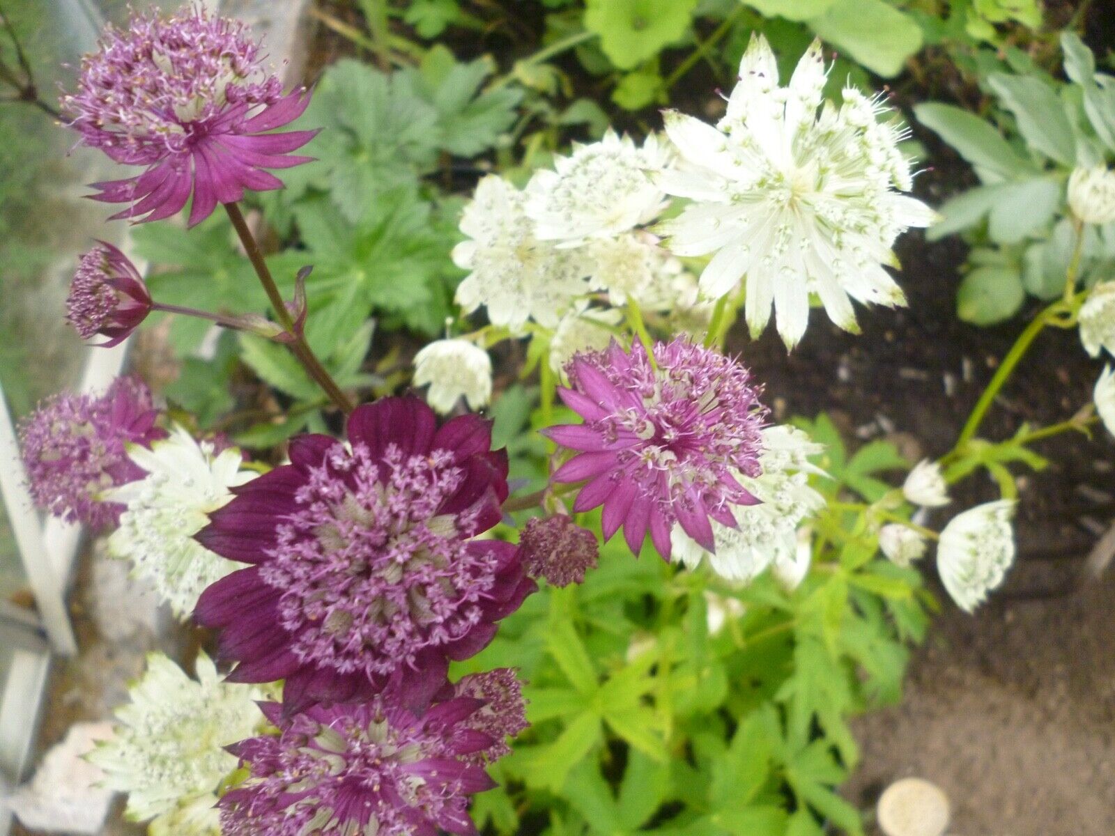 Picture 12 of 55