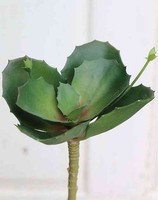 Artplants KüNstliche Kalanchoe Stamatia Auf Steckstab, GrüN, 20Cm, Ø17Cm