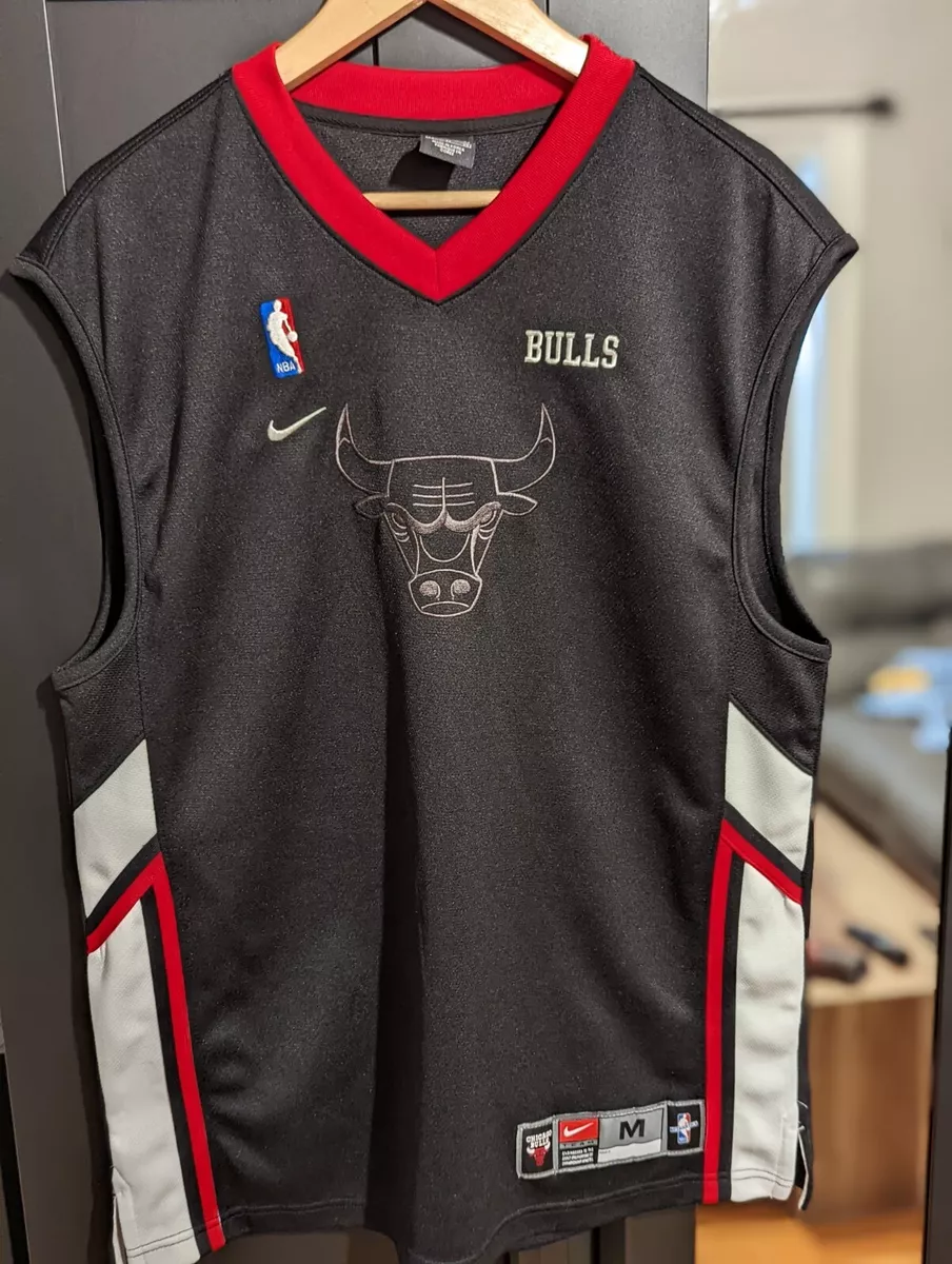 Bulls warm up best sale jersey