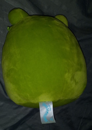 Squishmallows WENDY the Flower Belly FROG 8" Peluche Suave - Imagen 3 de 5