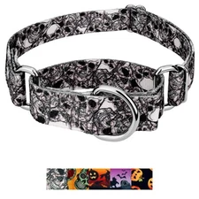 Country Brook Design® Martingale Dog Collar - Halloween Collection