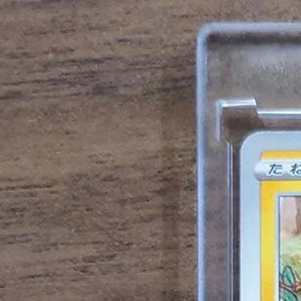 Pokemon Shinx C 030/070 S5R Rapid Strike Master Japanese Card - Image 3 of 4