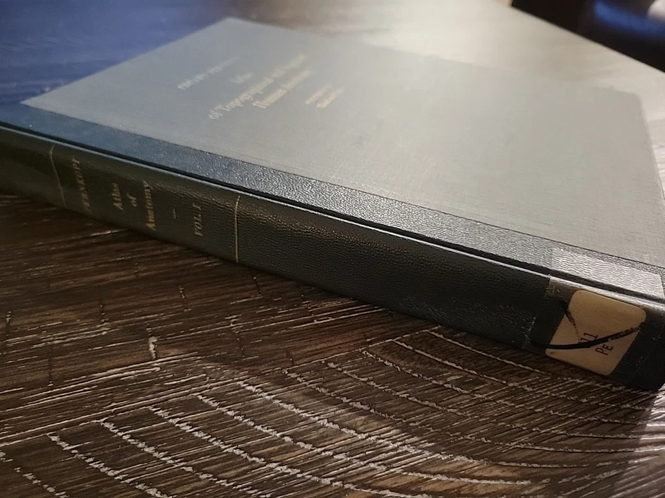 Atlas of Topographical and Applied Human Anatomy Vol. 1 Head Neck Pernkopf 1963 - Image 3 of 4