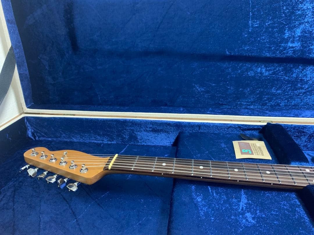 Harley Benton TE-70RW All Rose Style Telecaster MOD | eBay