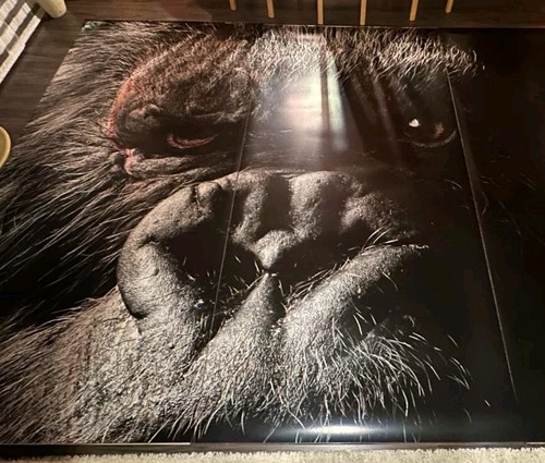 KING KONG SKULL ISLAND MEGA POSTER 3,6×2,4 METER!!WETTERFEST ABSULUTE RARITÄT - Bild 2 von 5