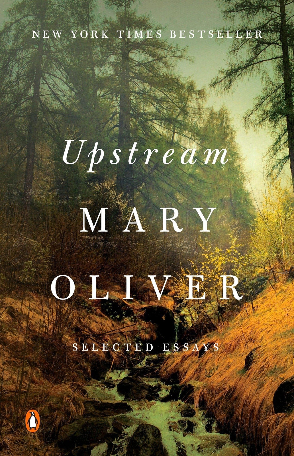 Thumbnail - Upstream Mary Oliver