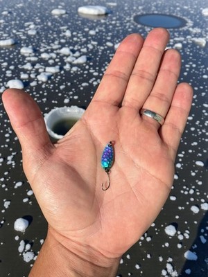 Perch, Crappie Micro Tungsten spoon for Spin Fishing or Ice Fishing