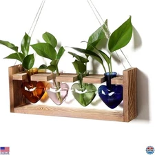 Heart-Shaped Plant Propagation Station - Glass Terrarium Kit for Plant Lovers