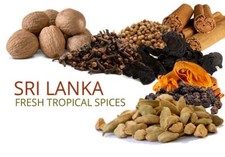 Herbs Spices,Spices,Especias,Hierbas especias,Spice Seasoning Blends,sazones