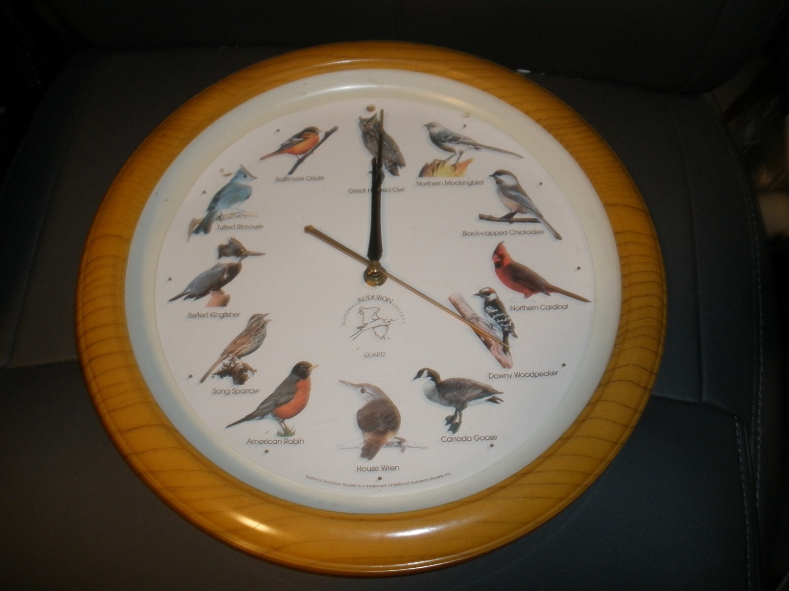 National Audubon Society Quartz Singing Bird Wall Clock 13 1/2'' Faux