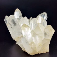 668g Natural QUARTZ Crystal Cluster from Brazil w6687