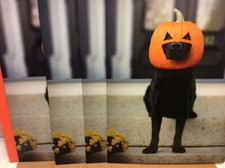 RSVP HALLOWEEN GREETING CARDS New w/Envelopes LOT 4"Won't DO FOR TREATS "