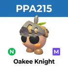 Oakee Knight - Adopt your pets
