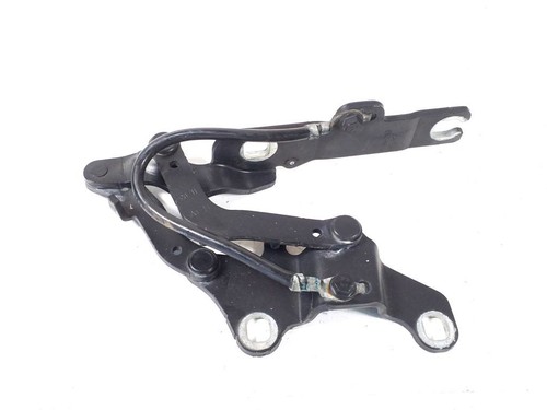 BMW 3 E92 E93 2011 Links Scharnier Motorhaube 7115263 EZE45454