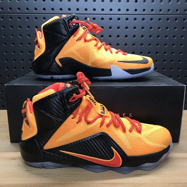 lebron 12 witness