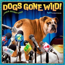 Avanti Dogs Gone Wild Official 2027 12x24 Hanging Square Wall Calendar