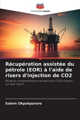 Rcupration assiste du ptrole (EOR) l'aide de risers d'injection de CO2 by Salem