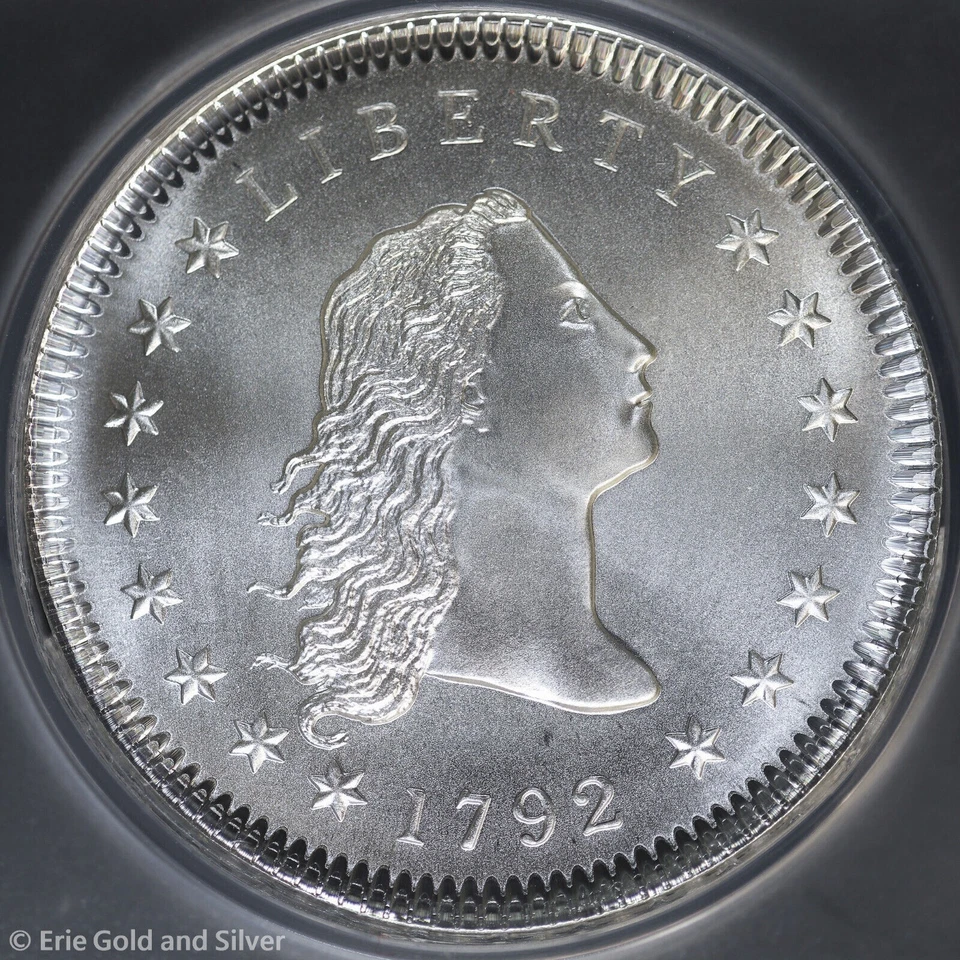 Ficha de sobregolpe de cabello suelto Dan Carr 1792 en Silver Eagle ANACS MS 69 - Imagen 3 de 4