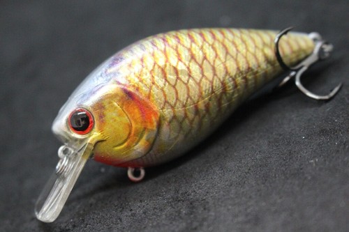 Señuelos de pesca Crankbait pintura realista oscilante ancho 2X gancho HC25 - Imagen 59 de 77