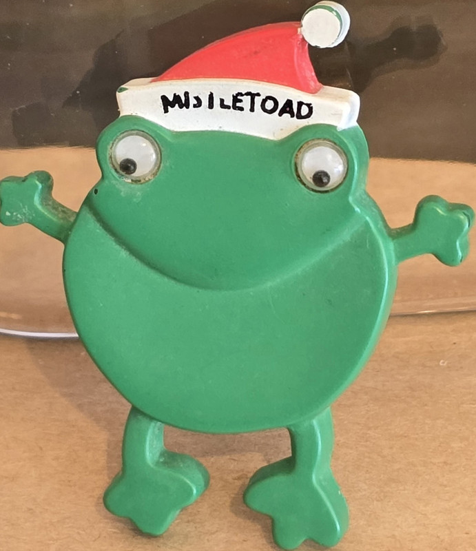 Hallmark Mistletoad Frog Christmas Brooch Pin Green Red White Plastic
