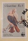 WWF Pink Pigeon Official Proof Edition Stamp — photo 4