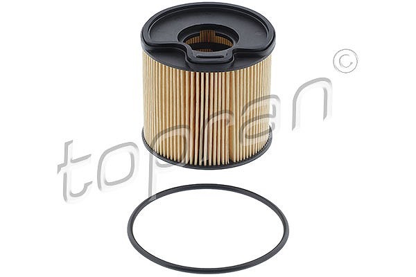 Topran Kraftstofffilter U.A. FüR CitroËN, Fiat, Peugeot-image