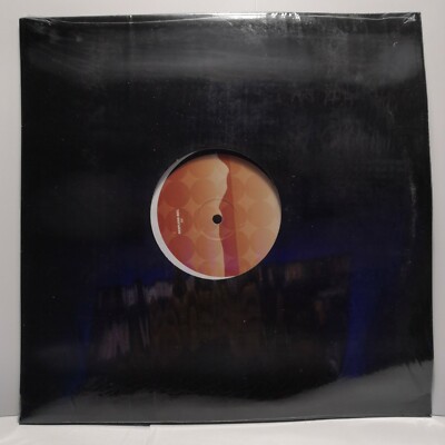 Tiza B    Losing You 12'' Vinyl  Garage House Music 2003