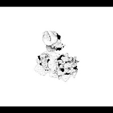 Anna And Matt Mitchell Webber - Capacious Aeration [CD]