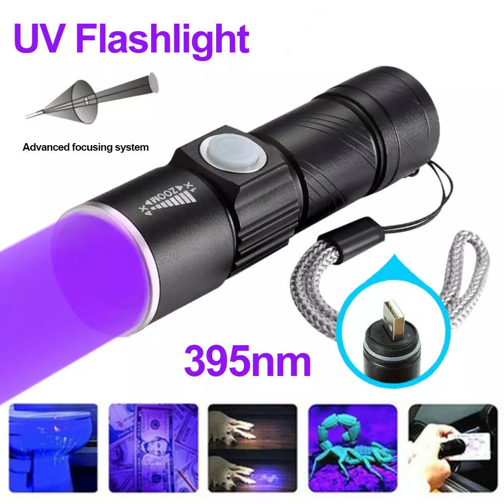 Uv light flashlight online