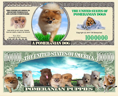 Pomeranian Dog Puppies Million Bones Dollar Bill Play Funny Money + FREE SLEEVE