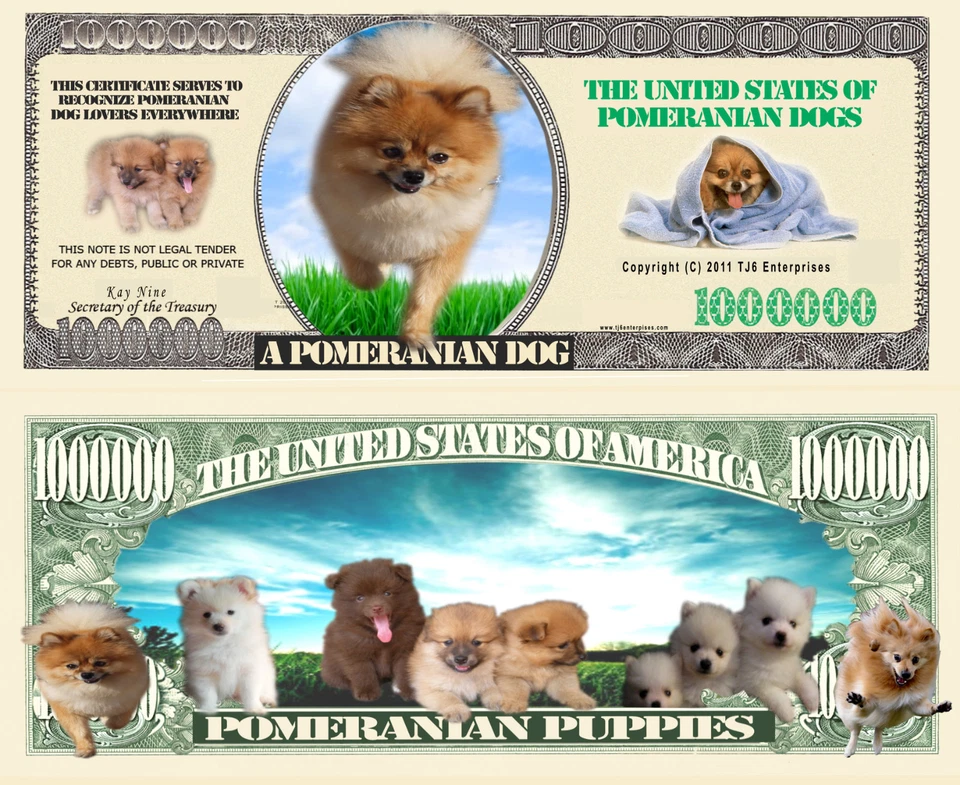 Pomeranian Dog Puppies Million Bones Dollar Bill Play Funny Money + FREE SLEEVE